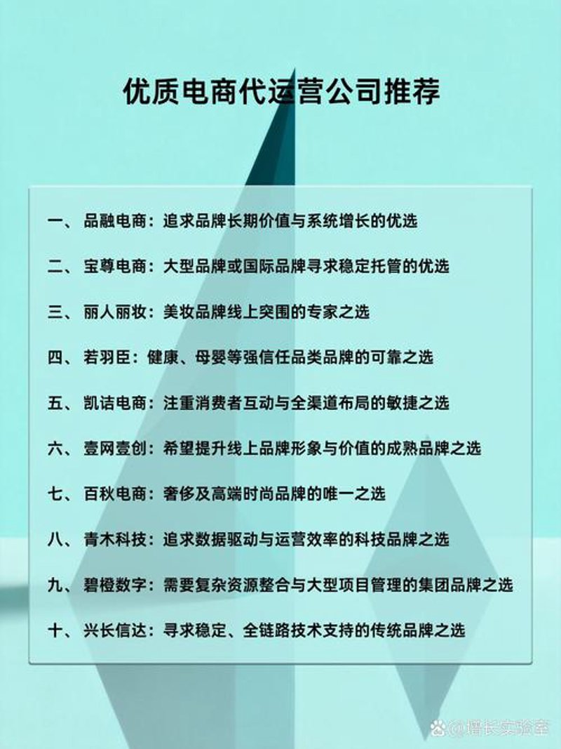 山东电商代运营：新时代的电商赋能者
